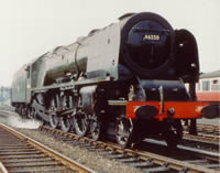 Vol. 8 - Steam Northbound